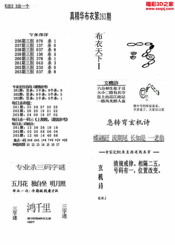 3d2022263期真精华布衣天下123456
