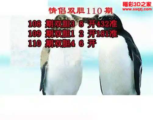 3d2024110期情侣双胆 连中