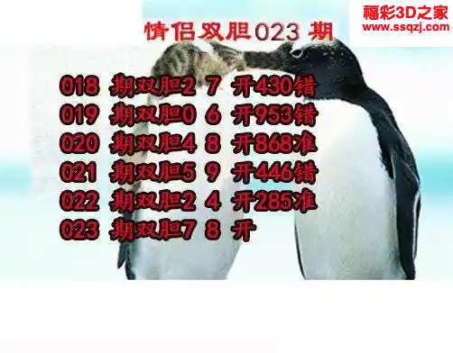 3d2024023期情侣双胆 中2