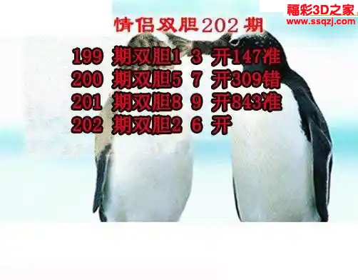 3d2024202期情侣双胆 中8