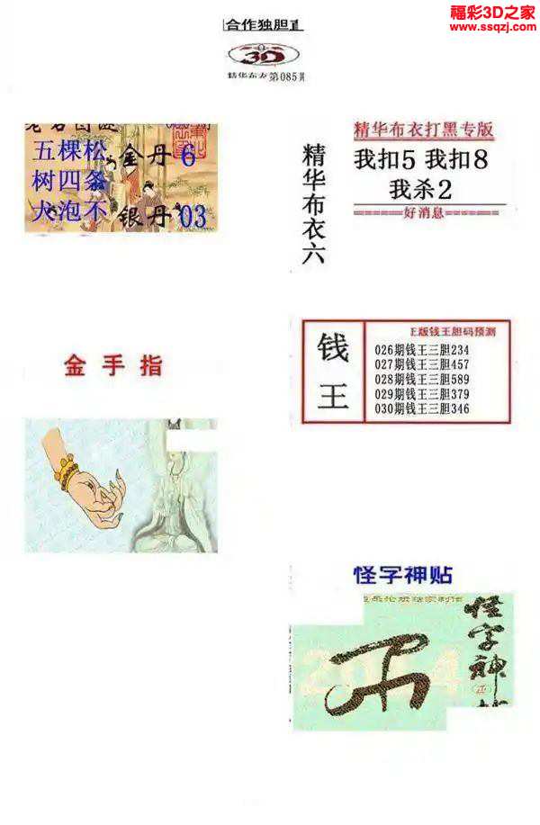 3d2024030期真精华布衣天下123456