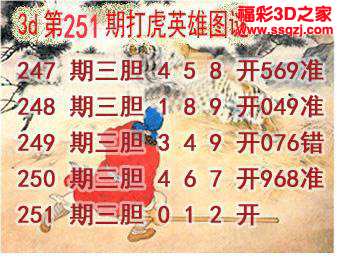 3d2023251期打虎英雄图谜 中6