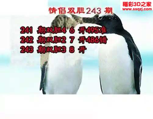 3d2023243期情侣双胆