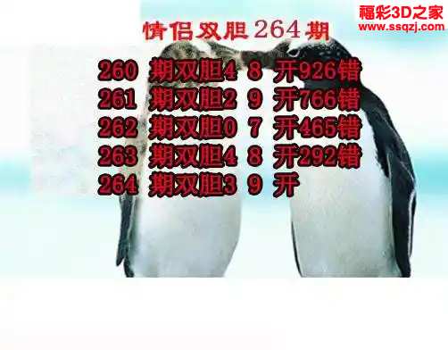 3d2024264期情侣双胆